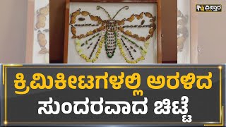 Dharwad : ಕ್ರಿಮಿಕೀಟಗಳಲ್ಲಿ ಅರಳಿದ ಸುಂದರವಾದ ಚಿಟ್ಟೆ | Vistara News Kannada