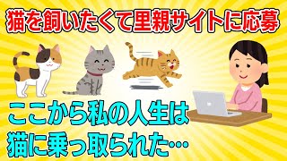 【2ch NNN】里親サイトで猫を譲り受けてから私の人生猫に乗っ取られた⋯