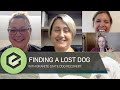 The PAWEDcast: Finding a Lost Dog