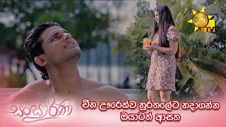 චීන ඌරෙක්ව හුරතලේට හදාගන්න ඔයාටත් ආසත 🐷 | Sansarini