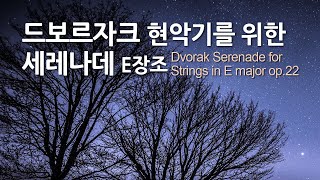 드보르자크 현악기를 위한 세레나데 E장조 op.22 | Dvorak Serenade for Strings in E major op.22 | 바이에른 방송 교향악단