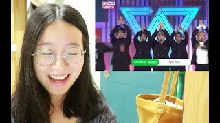 【影子REACTION】SEVENTEEN 《拍手》SHOW CHAMPION现场