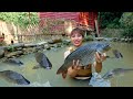 Full Video : The entire process of building, developing and harvesting a fish pond after 1 year