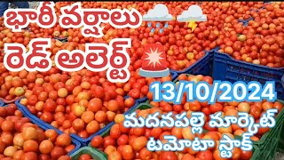 13/10/2024 మదనపల్లె మార్కెట్ టమోటా ధరలు | ఈ రోజు మన మదనపల్లె మార్కెట్ టమోటా స్టాక్ 🍅