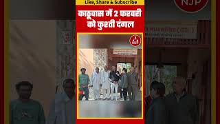 Rewari जिले के काठूवास में 2 फरवरी को कुश्ती दंगल #njpharyana