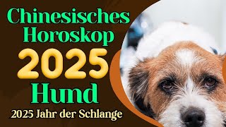 Dein Chinesisches Horoskop als Hund für 2025 - Schicksalsjahr?