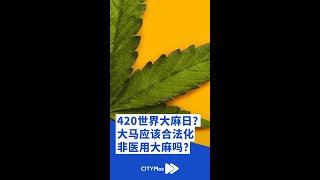 大马应该合法化非医用大麻吗？#Shorts