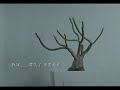 庾澄慶 harlem yu 葉子 官方版mv