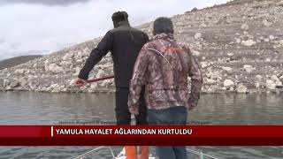 Yamula hayalet ağlarından kurtuldu