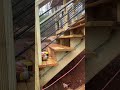 Risers 💪 | Beautiful deck stairs part 5 😍 #construction #builder #shorts #diy #skills #deckdesign