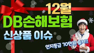 12월 DB손해보험 신상품이슈!! (인지등급 70만원출시)