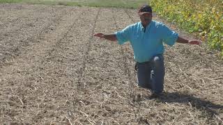 Spring Uniform Emergence Starts With Uniform Residue Spreading in The Fall