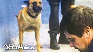 ¿A qué le temía 'El Chapo' Guzmán?