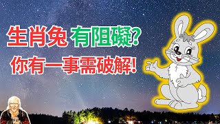 命理推算：生肖兔，你近期有一事要注意！否則會影響你的好運發揮！千萬當心！ #生肖兔2024年運勢 #生肖兔2024年運程 #屬兔人2024年運程 #屬兔人2024年運勢