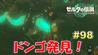 【ゼルダの伝説ティアキン】怪物に乗った姫！新生物ドンゴとは！？馬宿攻略（迷えるシロヤギの受難、コッコ様の言う通り、マイスイートプリンセス） Part98