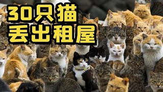 30只猫被丢在出租屋，主人却失踪了