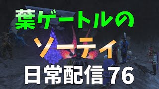 FF11　ソーティ日常配78　ACEGあまりで11月実装に向けてDHテスト　剣狩風黒学白