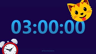 3 Hour Timer - 3 hour Alarm Clock ⏱