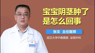 宝宝阴茎肿了是怎么回事 有来医生