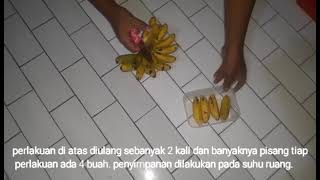 Praktikum Teknologi Pasca Panen, Acara 2 Pengaruh Etilen Terhadap Pematangan Buah (Perlakuan 2)