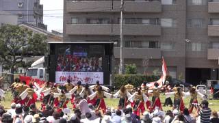 湘南よさこい祭り２０１５－音ら韻