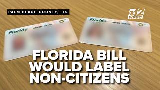 'NC' on licenses for non-U.S. citizens? Florida bill sparks debate