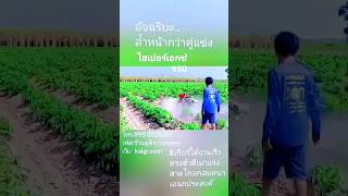 ล้ำหน้า!!! รถ​พรวน​ดิน​สาด​ดิน​ยกร่องไฮเปอร์​เอกซ์​990​