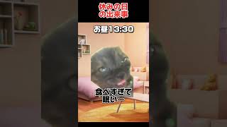 【猫ミーム】休みの日の出来事　#shorts #猫ミーム #meme