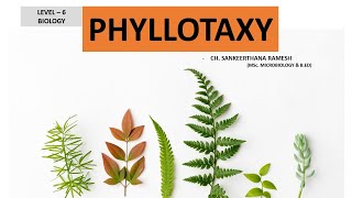 Phyllotaxy I Arrangement of leaves on a stem