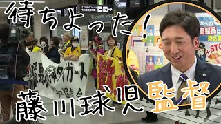 「藤川球児監督 就任後初の高知入り 11月1日から安芸市で阪神の秋季キャンプ」2024/10/31放送