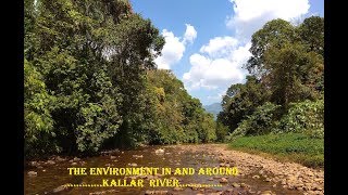 Kallar river Ponmudi (കല്ലാർ) - To feel the Nature