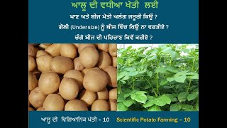 10 - SPFII ਆਲੂ ਦੀ ਖਾਣ ਅਤੇ ਬੀਜ ਲਈ ਖੇਤੀ ਅਲੱਗ ਜਰੂਰੀ ਕਿਉਂ ? Separate seed crop.