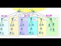 6. Cisco Packet Tracer Project 2022 | Company Network Design Project Using Cisco Packet Tracer