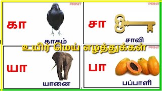 Uyir mei eluthukal / கா ஙா சா / உயிர் மெய் எழத்துக்கள் /prinit channel