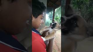 ഏട്ടാ...എനിക്ക് ദേഷ്യം പിടിക്കുന്നുണ്ട് ട്ടോ 😠🐕