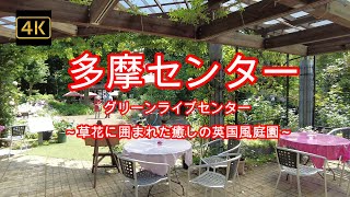 4K【多摩センター】【グリーンライブセンター】【草花に囲まれた癒しの英国風庭園】ぶらぶら散歩【多摩中央公園の片隅に～無料小さなオアシス】【キティちゃんのマンホールカードもらえます】