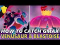 How to Catch BOTH WILD G-Max Venusaur & G-max Blastoise - Pokemon Sword and Shield Isle of Armor