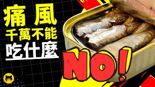 痛風千萬不能吃什麼食物？| 喵一下