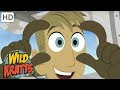 Wild Kratts - Amazing Animals With Special Features | Kids Videos