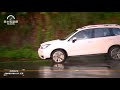 subaru forester 2018試駕 全方位稱職的suv