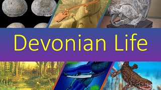 Life Of The Devonian Period