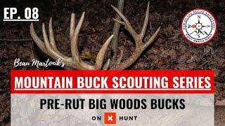 HOW TO HUNT BIG WOODS BUCKS IN THE PRE-RUT | Mountain Buck Scouting Series | Ep. 08