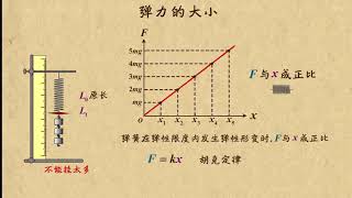 11弹力大小与胡克定律   相互作用力（1）高中物理