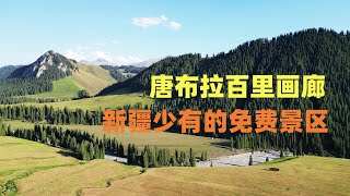 Tangbula Grassland in Xinjiang, China, is known as \