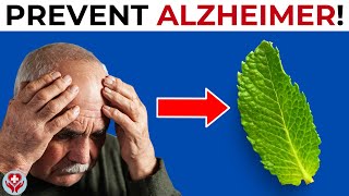 7 HERBS To Prevent Alzheimer’s And Dementia After 50!