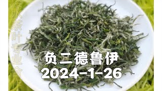 【负二德鲁伊】2024 1 26溇水茶叶参看置顶动态 去无声