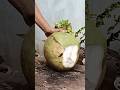 Amazing, coconut peeling skills with knive,big coconut #coconutcutting #fruit #coconut #fruitcutting