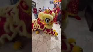 Lunar CNY Day 1 🐍 2025: Ding Feng 鼎豐 Lion Dance Troup