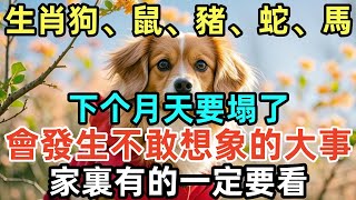 生肖狗、鼠、豬、蛇、馬，下个月天要塌了，會發生不敢想象的大事，家裏有的一定要看！