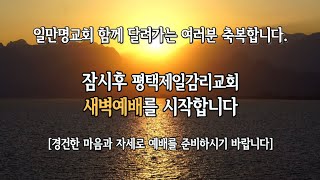 2022.11.23_평택제일감리교회_새벽예배